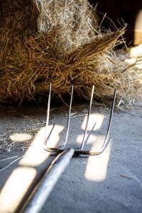 an image of a pitchfork laid on the ground in front of a pile of hay.